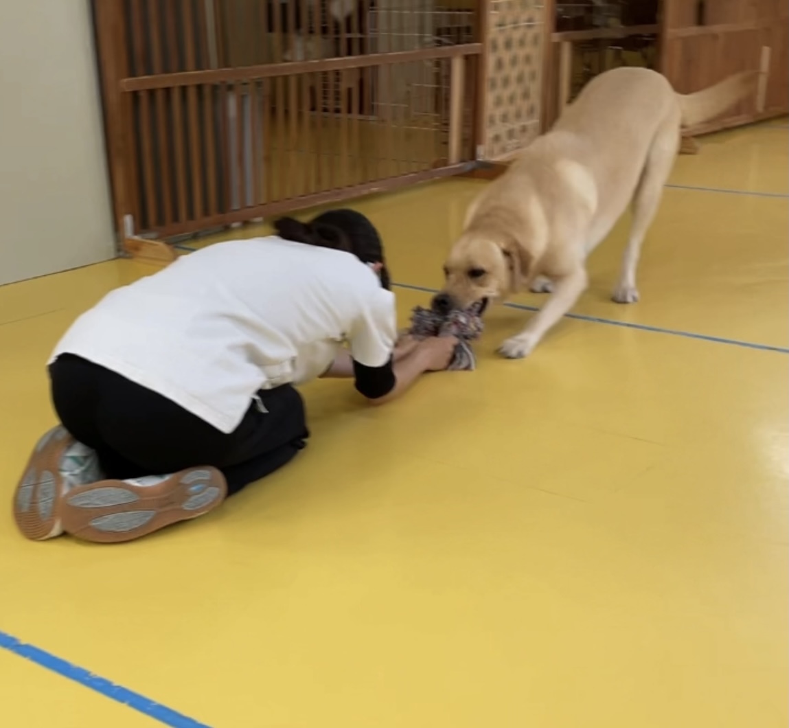 トレーニングブログ_f0357682_01064299.jpeg