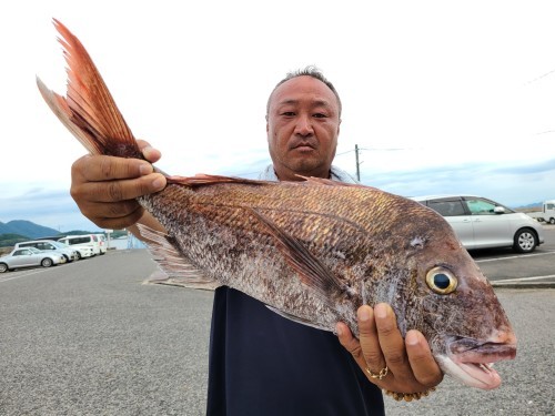 7月25日鯛釣り 桑田観光 第三神力丸 桑田慎太郎 090 1010 9491