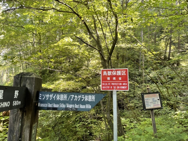 軽井沢*野鳥の森で森林浴を♪_c0212604_07375799.jpeg