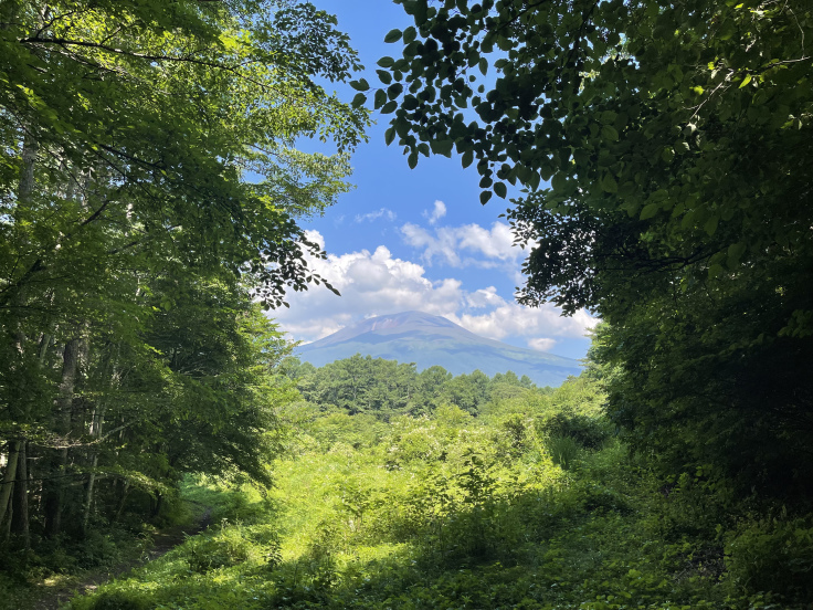 軽井沢*野鳥の森で森林浴を♪_c0212604_07441695.jpeg