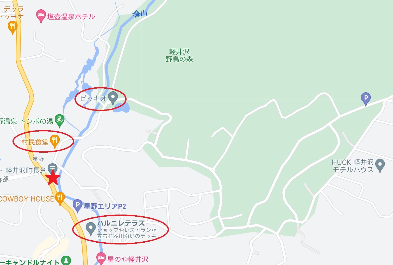 軽井沢*野鳥の森で森林浴を♪_c0212604_08053094.jpg