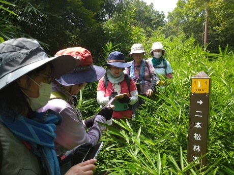 新神戸駅~城山~再度公園~七三峠~二本松林道~祇園神社_c0218841_09540703.jpg