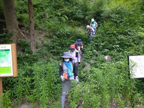 新神戸駅~城山~再度公園~七三峠~二本松林道~祇園神社_c0218841_10023626.jpg