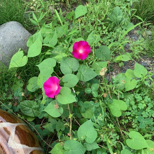 チュンの話し。_b0207642_09181708.jpg