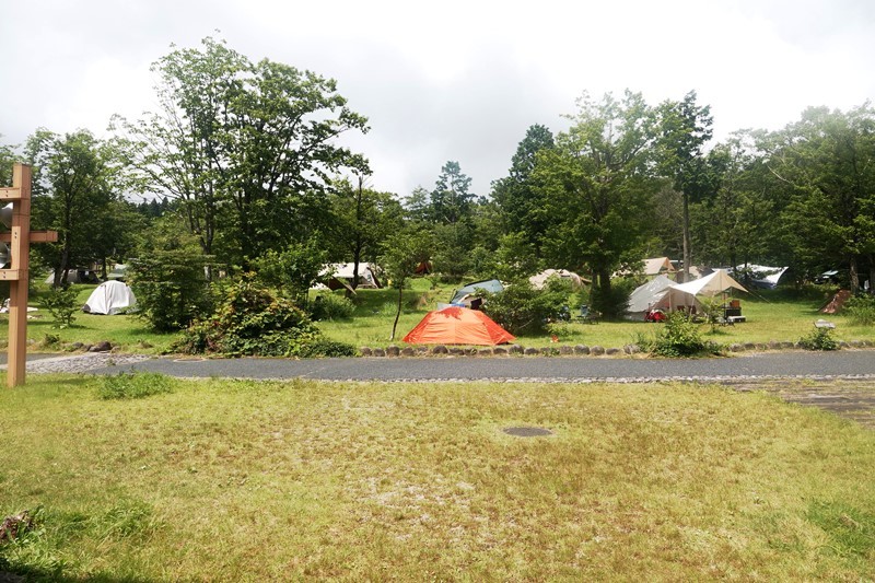 夏山 大山_b0227552_11061360.jpg