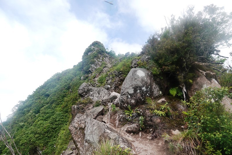 夏山 大山_b0227552_11063746.jpg