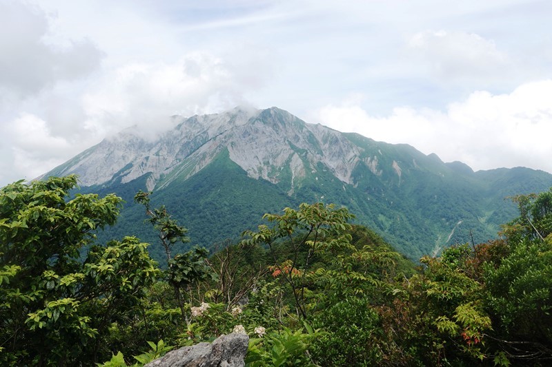 夏山 大山_b0227552_11064948.jpg
