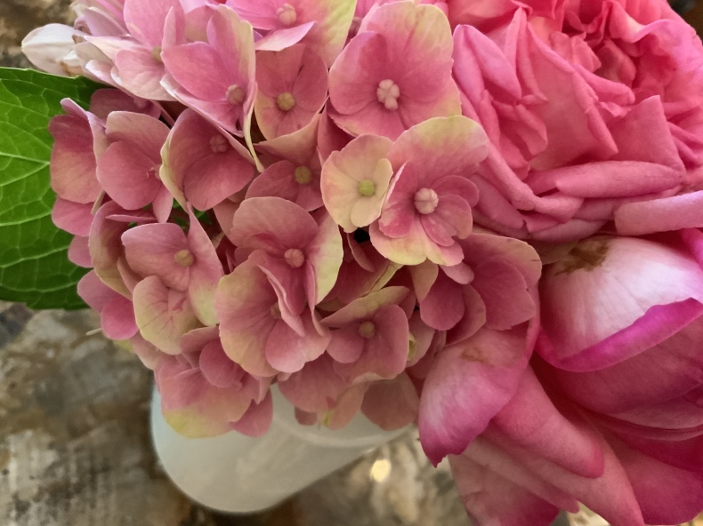 ピンク色の花達とサクランボのパイ ダイアリー