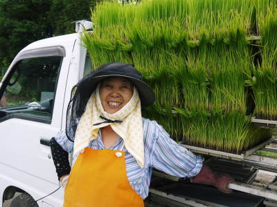 七城米 熊本県菊池市七城町の「長尾農園」さんのお米は今年も見事に美しすぎる田んぼで元気に成長中!_a0254656_17475962.jpg