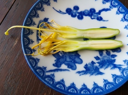 竜の花…_b0368362_16444115.jpg