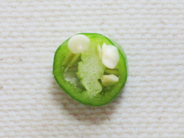 唐辛子を収穫しました_c0152767_20293173.jpg