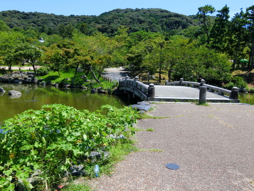 祖父の50回忌_f0226671_09382694.jpg