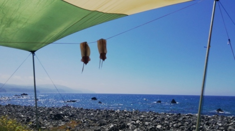 奥尻島 32日目_c0212083_20335420.jpg