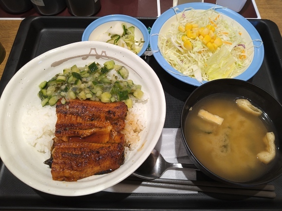 7/28 土用の丑の日 朝散歩 ⇒ 松屋 うなだし丼_b0042308_12182257.jpg