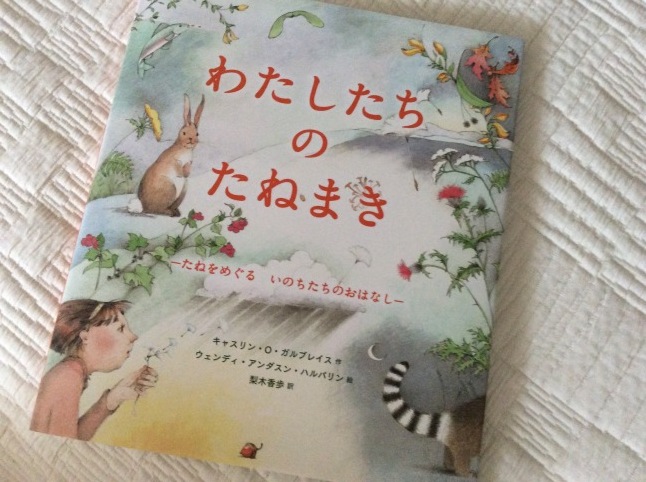 読んだ本 「ある小さなスズメの記録」_d0348118_15583526.jpeg