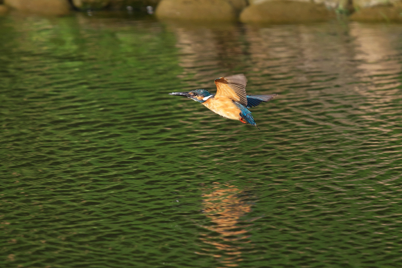 U公園通信　水曜日編〜_f0396820_20152700.jpg