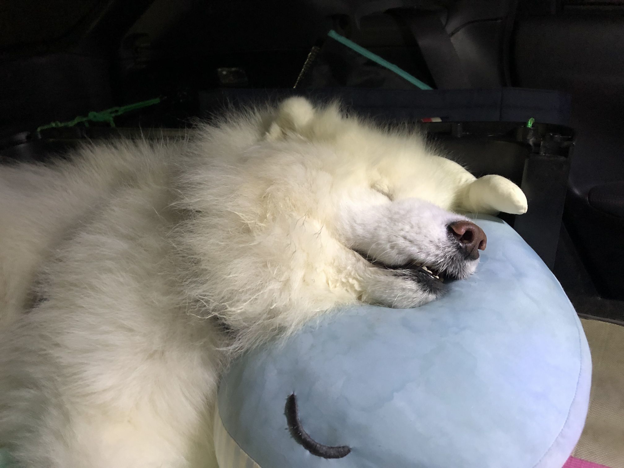 ルネにたくさんの応援ありがとうございました_f0128542_02251551.jpg