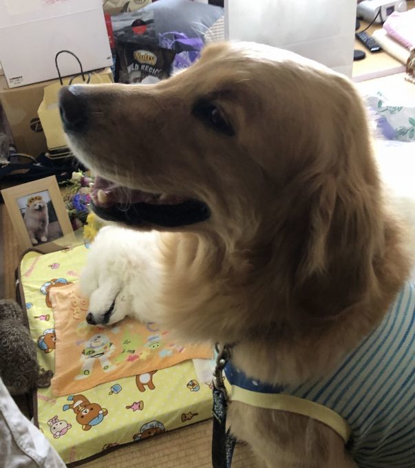 ルネにたくさんの応援ありがとうございました_f0128542_02493952.jpg