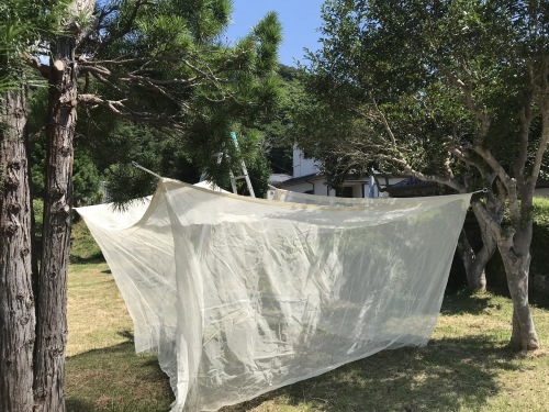 岡部医師のタナトロジー 〜昨夜の「森のデスカフェ」より_f0054677_08500100.jpg
