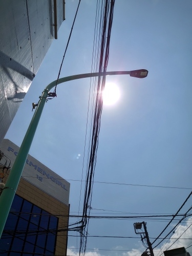 「俊さん」_a0075684_13351326.jpg