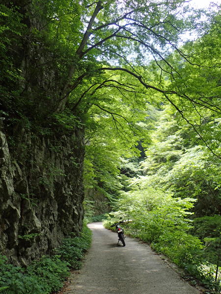 XT250 セロー 21 2/3 多賀の廃村と集落 (妛原 落合 男鬼 武奈