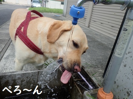 雨雲レーダー チェック!!_c0182012_15375285.jpg