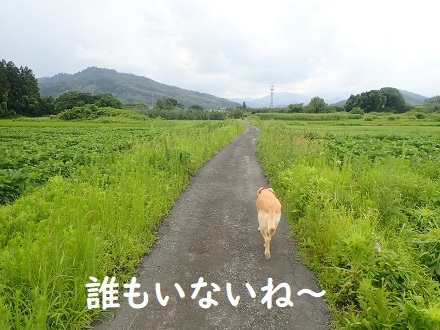 雨雲レーダー チェック!!_c0182012_15375408.jpg