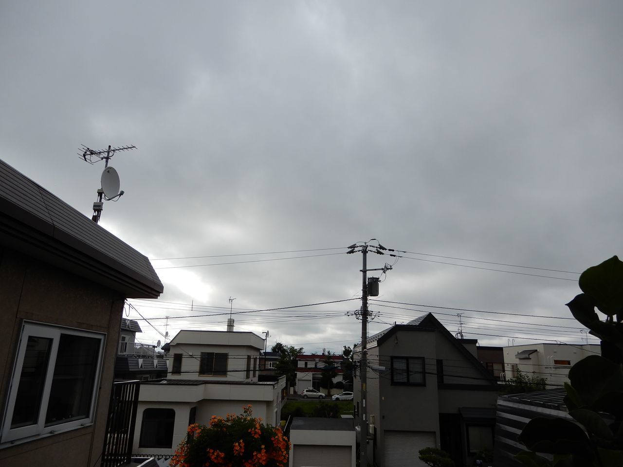 7月7日以来のほんのちょっとのお湿り_c0025115_21462674.jpg