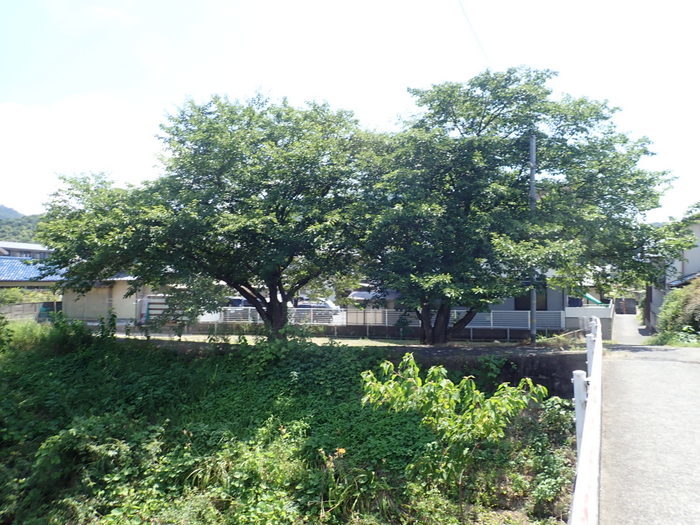 石内川周辺からと、河内からの風景(空模様)_c0116915_00065204.jpg