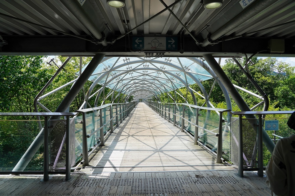 久し振りの県外旅行_c0306845_20560023.jpg