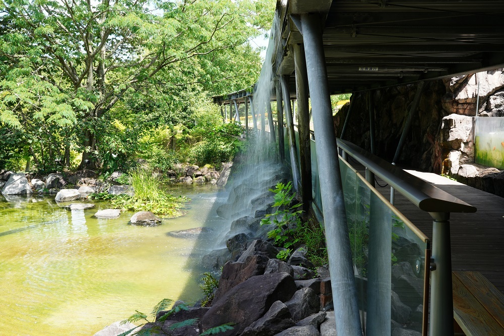 久し振りの県外旅行_c0306845_20592333.jpg