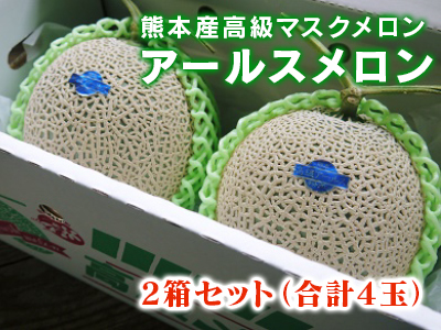 熊本産!匠の高級マスクメロン(アールスメロン) 令和3年夏の出荷を本日よりスタートしました!_a0254656_15155718.jpg