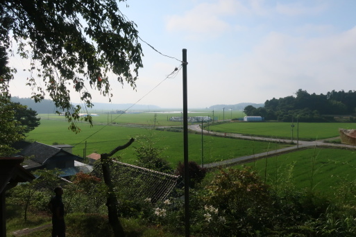 第三回女寅さん10年目を歩くの旅 二日目 南相馬_d0023170_13203638.jpg
