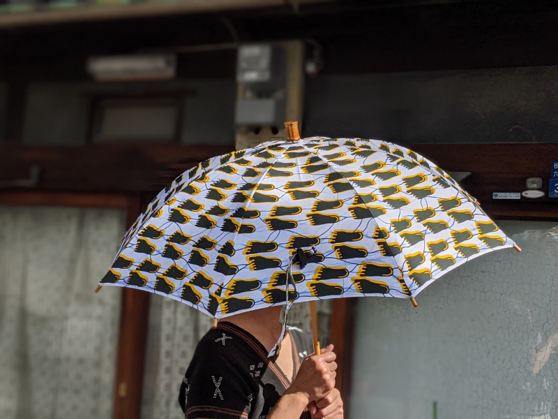 日傘用なら45cm_b0322280_13292786.jpg