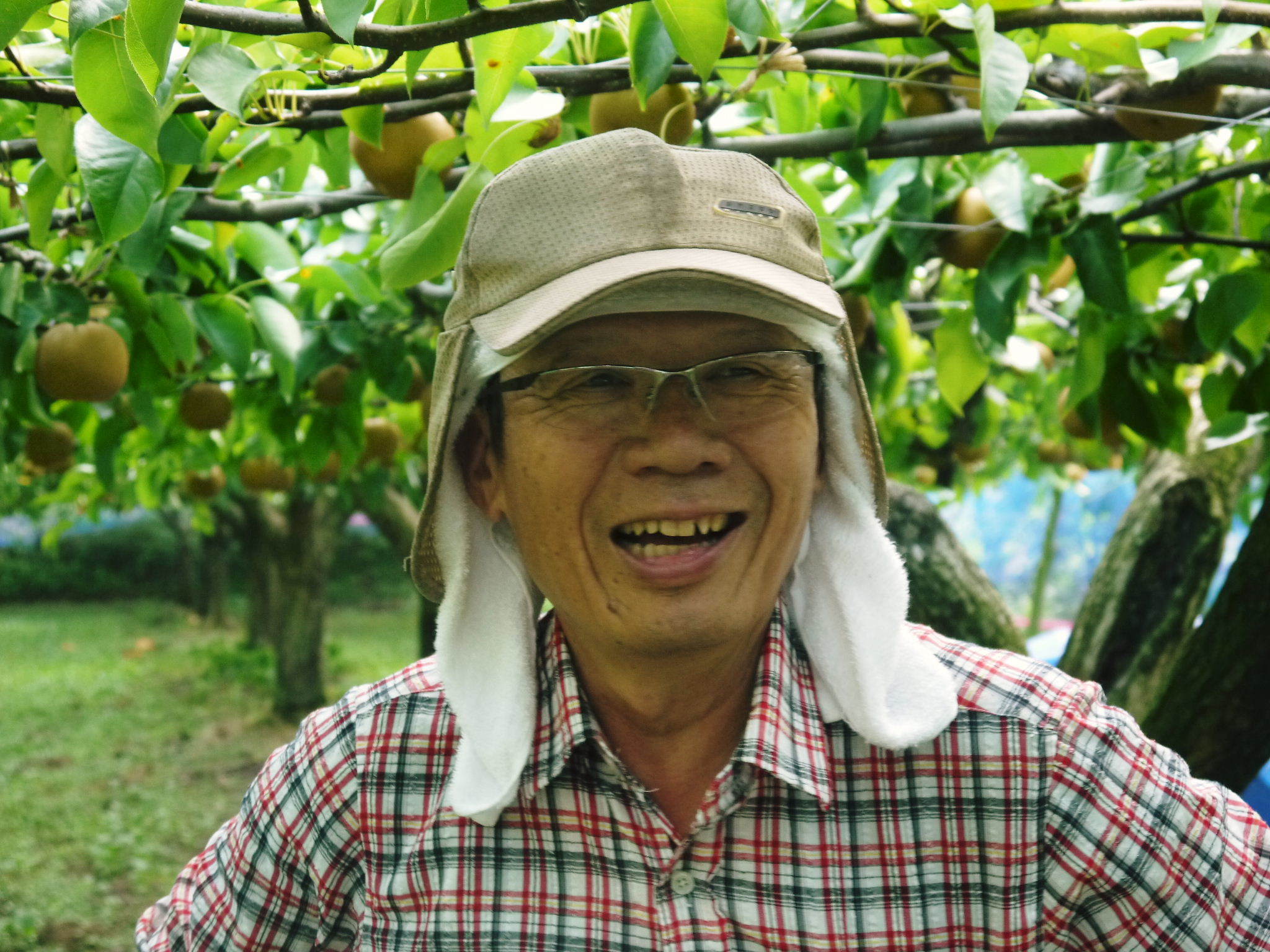 熊本梨 令和3年度の初出荷!まずはこだわりの樹上完熟梨『幸水』を朝採り即日発送でお届けします!_a0254656_18123447.jpg