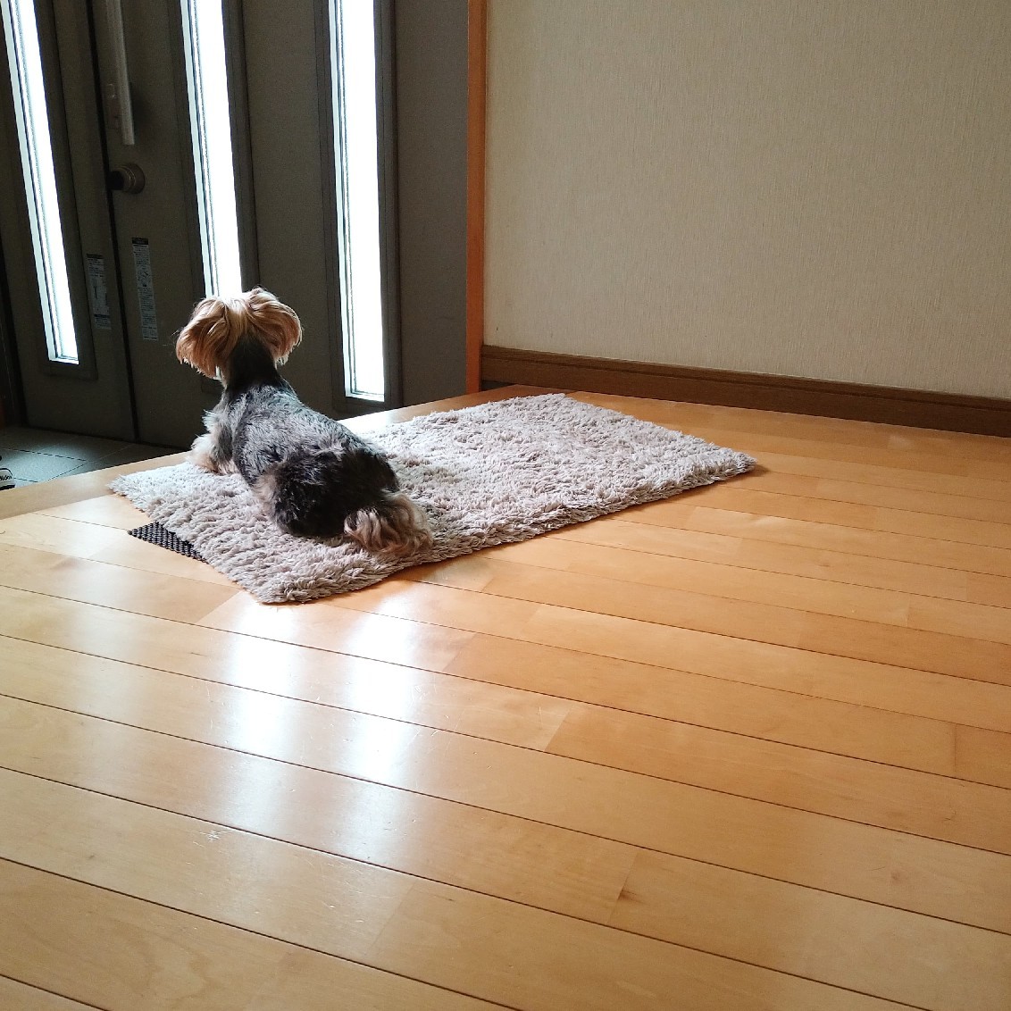 ++7/19～7/25までの夜ごはんの記録*++_e0354456_09154361.jpg
