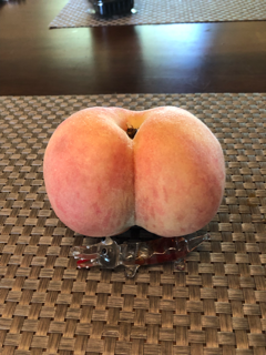 ワクチン接種2日後_f0363168_20230136.png