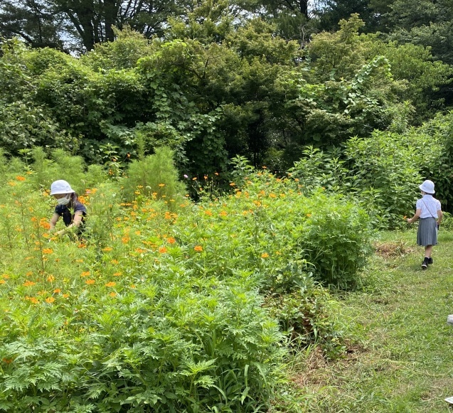 お花摘み&#127804;_c0128489_22092826.jpeg
