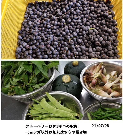 コロナ感染者 日々の事_c0051105_15092546.jpg