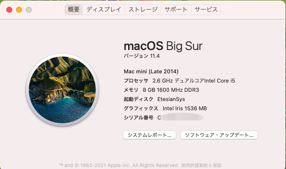 macOS Xquartz Virt-manager mouse Control マウス制御できない Mouse control, openSUSE Leap 15.2_a0056607_14383182.png
