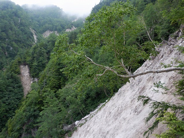 中部山岳　餓鬼岳見参　悪路の白沢から餓鬼岳へ　　　　　Mount Gaki in Chūbu-Sangaku National Park_f0308721_17350942.jpg