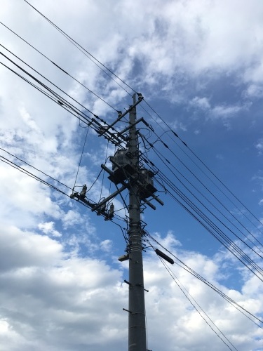 緊急事態宣言発令に伴う営業自粛のお知らせ_e0224842_16543166.jpeg