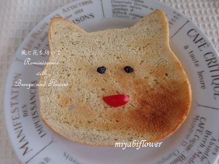 白ねこに変身したパン、さらに変身_b0255144_10042581.jpg