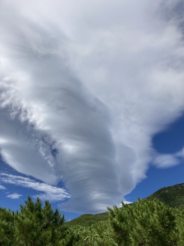 富良野岳に登ってきました 2021_d0198793_14125089.jpg