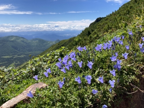 富良野岳に登ってきました 2021_d0198793_14273941.jpg
