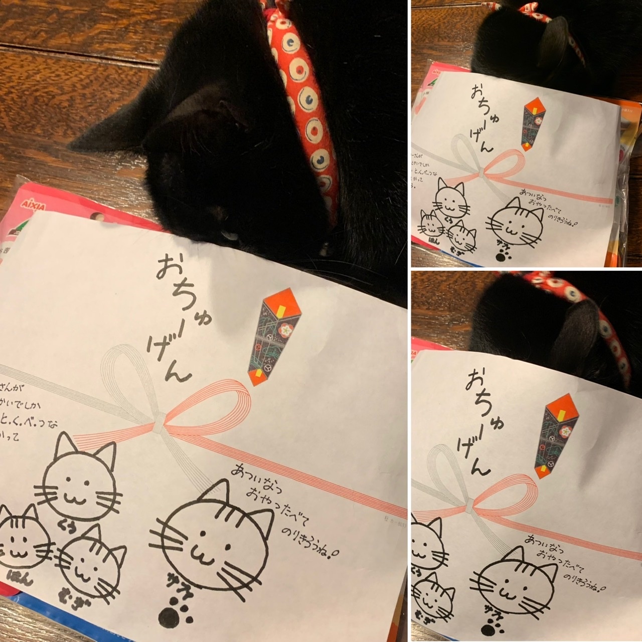 うち猫、お中元をもらう。_e0358096_20194043.jpeg