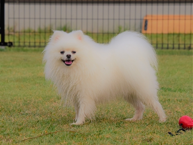 正直者が馬鹿を見る_d0360206_19235372.jpg