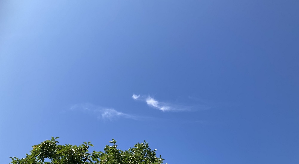 8月 葉月になりました 追記有り_f0162908_19465627.jpg