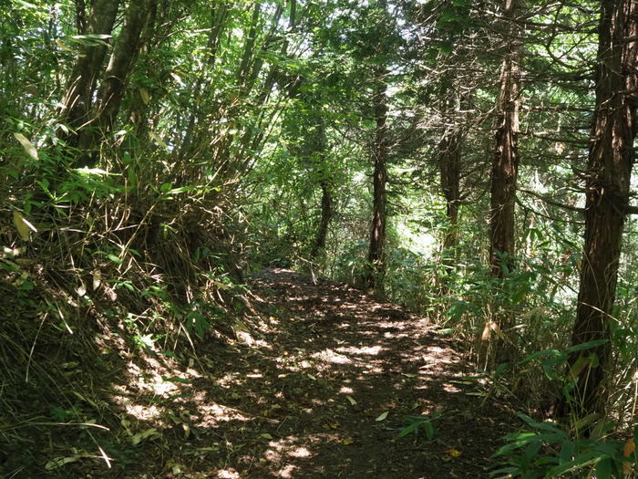 漁山登山_c0116915_00344981.jpg