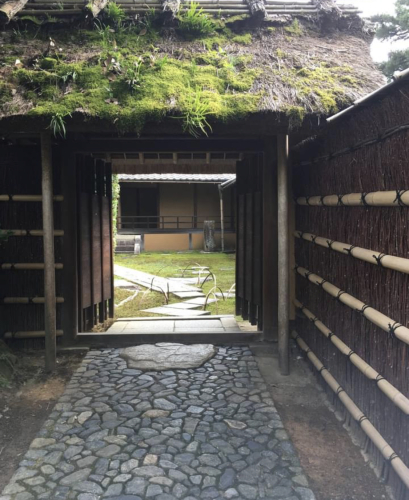 八月に入りました_a0197730_09512729.jpeg